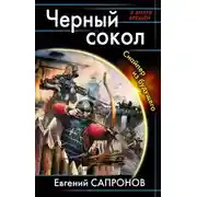 Постер книги Черный сокол. Снайпер из будущего