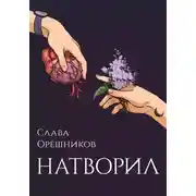 Постер книги Натворил