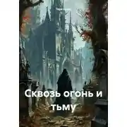 Постер книги Сквозь огонь и тьму