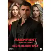 Постер книги Лабиринт. Книга вторая. Охота на олигарха