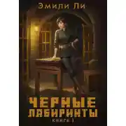 Постер книги Черные лабиринты. Книга 1