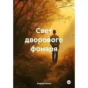 Постер книги Свет дворового фонаря