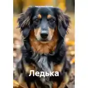Постер книги Ледька