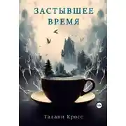 Постер книги Застывшее время