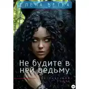 Постер книги Не будите в ней ведьму