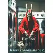 Постер книги Квантовый носок