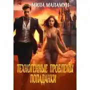 Постер книги Техногенные проблемы попаданки