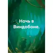 Постер книги Ночь в Виндобоне
