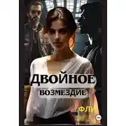 Постер книги Двойное возмездие
