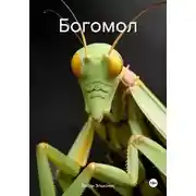 Постер книги Богомол