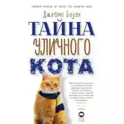 Постер книги Тайна уличного кота