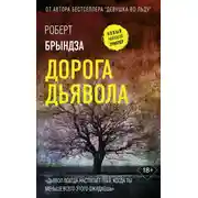 Постер книги Дорога дьявола