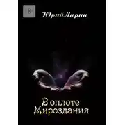 Постер книги В оплоте Мироздания