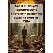 Постер книги Как я «нагнул» юридическую систему и вышел на волю из тюрьмы США