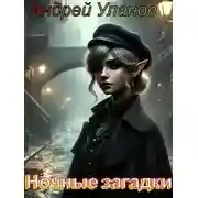 Постер книги Ночные загадки