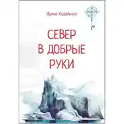 Постер книги Север в добрые руки