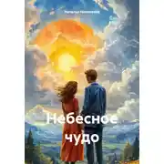 Постер книги Небесное чудо