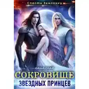 Постер книги Сокровище звездных принцев