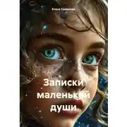 Постер книги Записки маленькой души