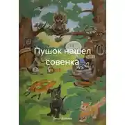 Постер книги Пушок нашел совенка