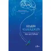 Постер книги Бездна Челленджера