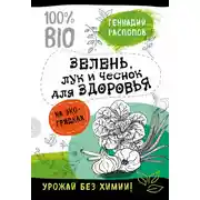 Постер книги Зелень для здоровья. Лук и чеснок на эко грядках
