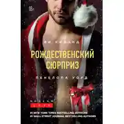 Постер книги Рождественский сюрприз. Сборник