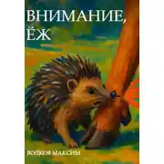 Постер книги Внимание, Ёж