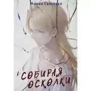 Постер книги Собирая осколки