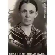 Постер книги Беда не приходит одна…