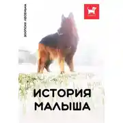 Постер книги История Малыша