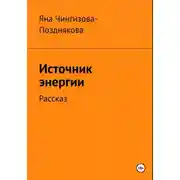 Постер книги Источник энергии