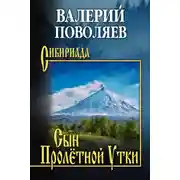 Постер книги Сын Пролётной Утки
