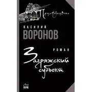 Постер книги Загряжский субъект