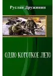 Руслан Дружинин - Одно короткое лето