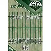 Постер книги Заключенный № 12