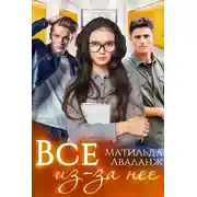 Постер книги Всё из-за неё