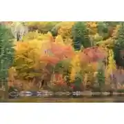 Постер книги Гигиеническая система