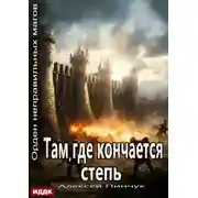 Постер книги Орден неправильных магов. Книга 4. Там, где кончается степь