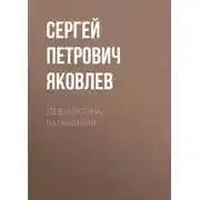 Постер книги Девы войны. Валькирия