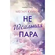 Постер книги Неидеальная пара