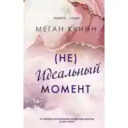 Постер книги (Не)идеальный момент