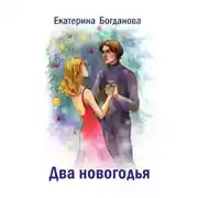 Постер книги Два новогодья