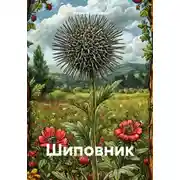 Постер книги Шиповник