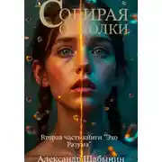 Постер книги Собирая осколки
