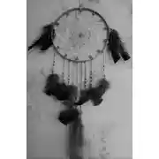 Постер книги Карга