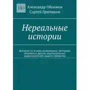 Постер книги Нереальные истории. Истории из жизни полярников, лётчиков, моряков и других замечательных представителей нашего общества