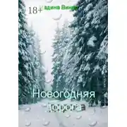 Постер книги Новогодняя дорога