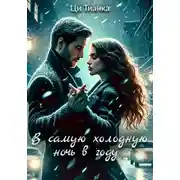 Постер книги В самую холодную ночь в году