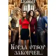 Постер книги Когда отбор закончен…